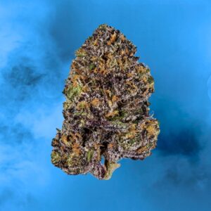 Blue Dream Strain