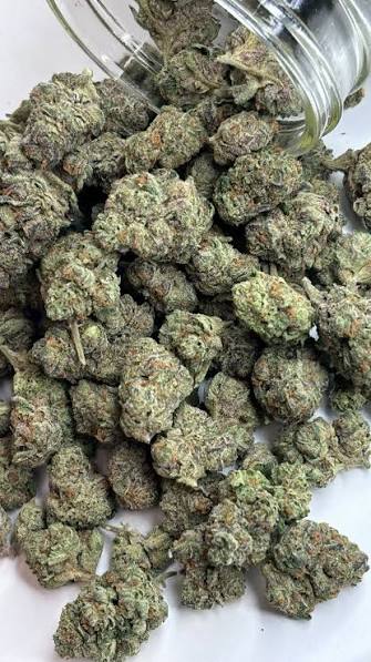 buy Chem 91 strain