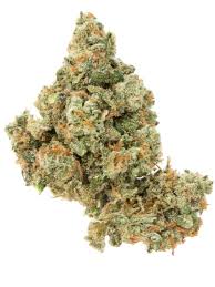 Jack Herer Strain