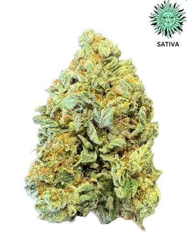 Pineapple Express Strain