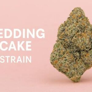Wedding Cake Gelato Strain