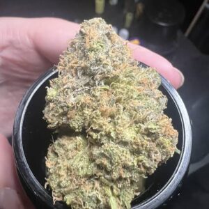 Zkittlez Strain