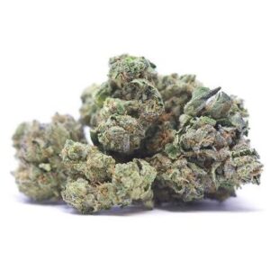 Banana Cream Jealousy Strain