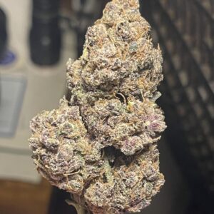 Forbidden Runtz Strain