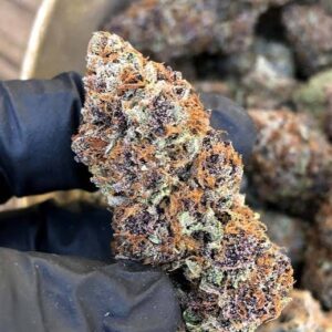 forbidden fruit strain​