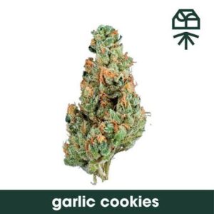 Garlic Cookies Weed