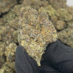 Grape Pie Strain