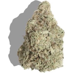 Miracle Alien Cookies Strain