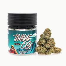 Tahoe OG Strain