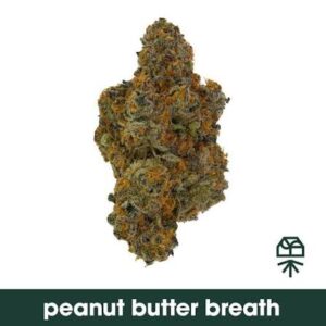 Peanut Butter Breath Strain