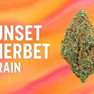 sunset sherbet weed​