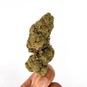 Super Lemon Haze Weed Strain