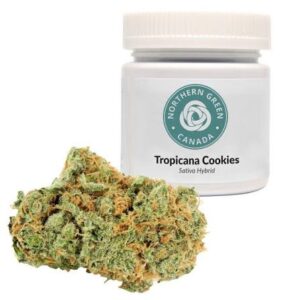 Tropicana Cookies Strain